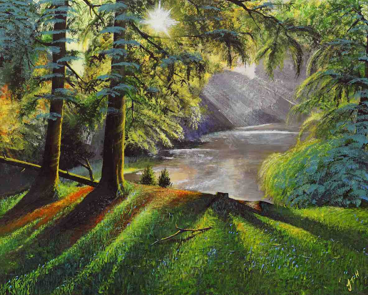 The Woods in Spring