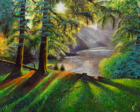The Woods in Spring