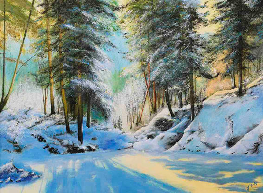 Winter in the Forest